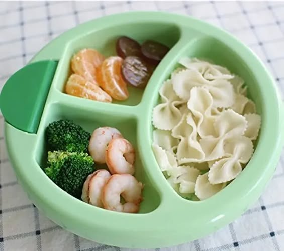 Sajha24 ELECTRIC FOOD WARMING PLATE